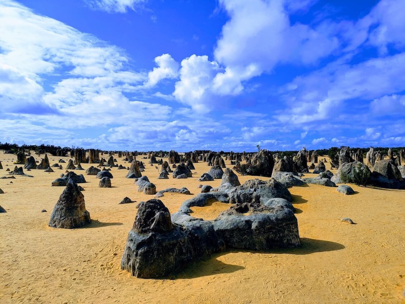 The Pinnacles, WA. Photo: David Wolfe